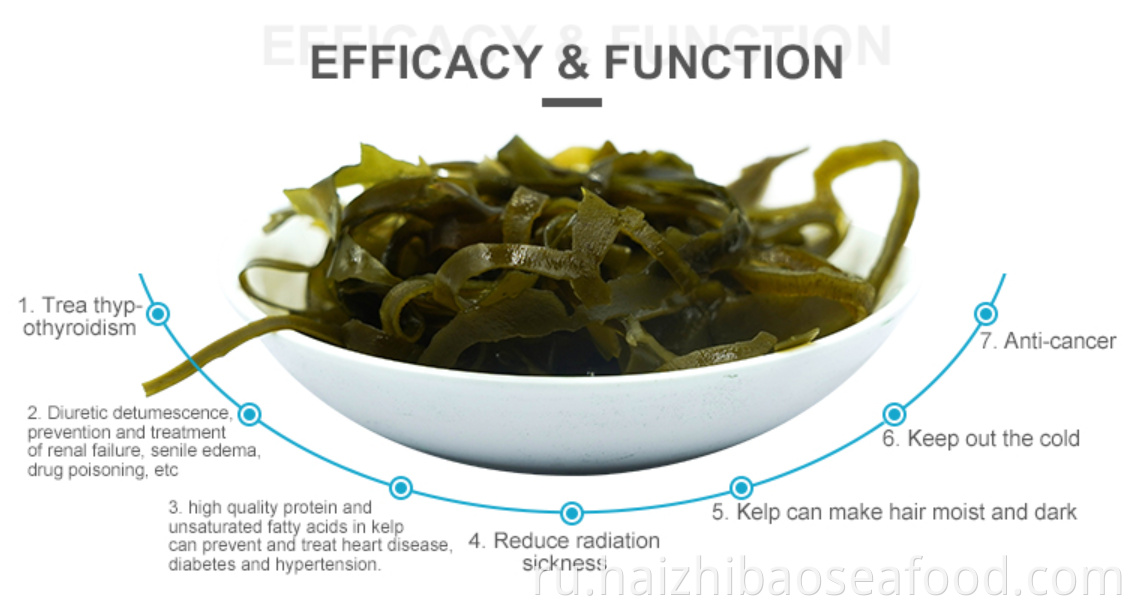 Laminaria 4